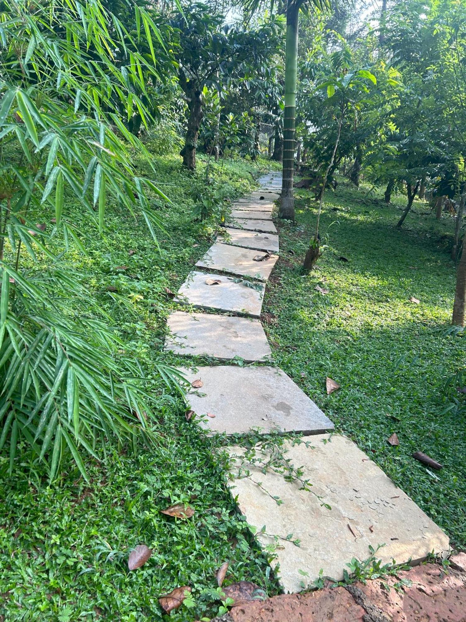 Sylvan Resort Wayanad Luaran gambar