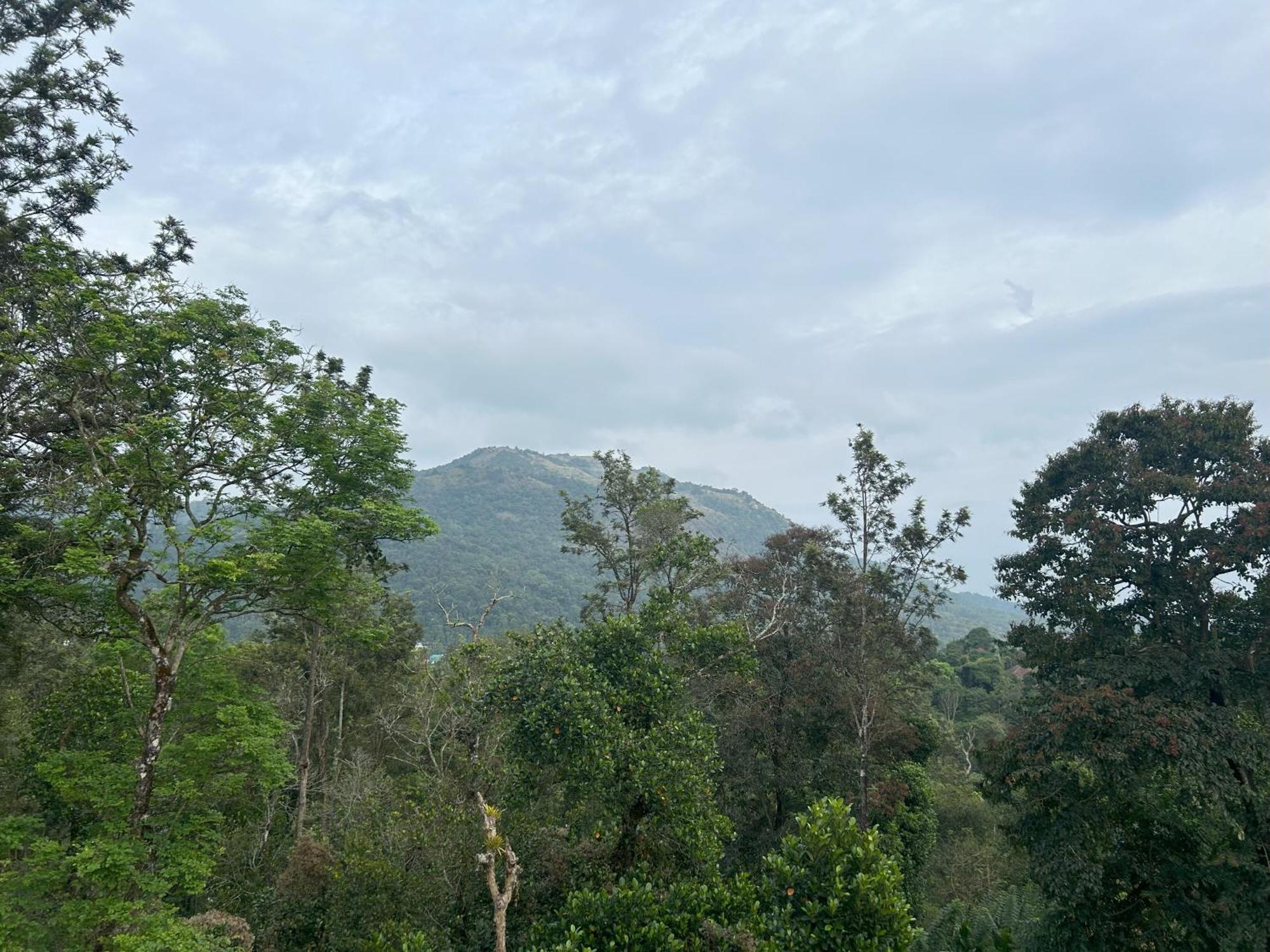 Sylvan Resort Wayanad Luaran gambar