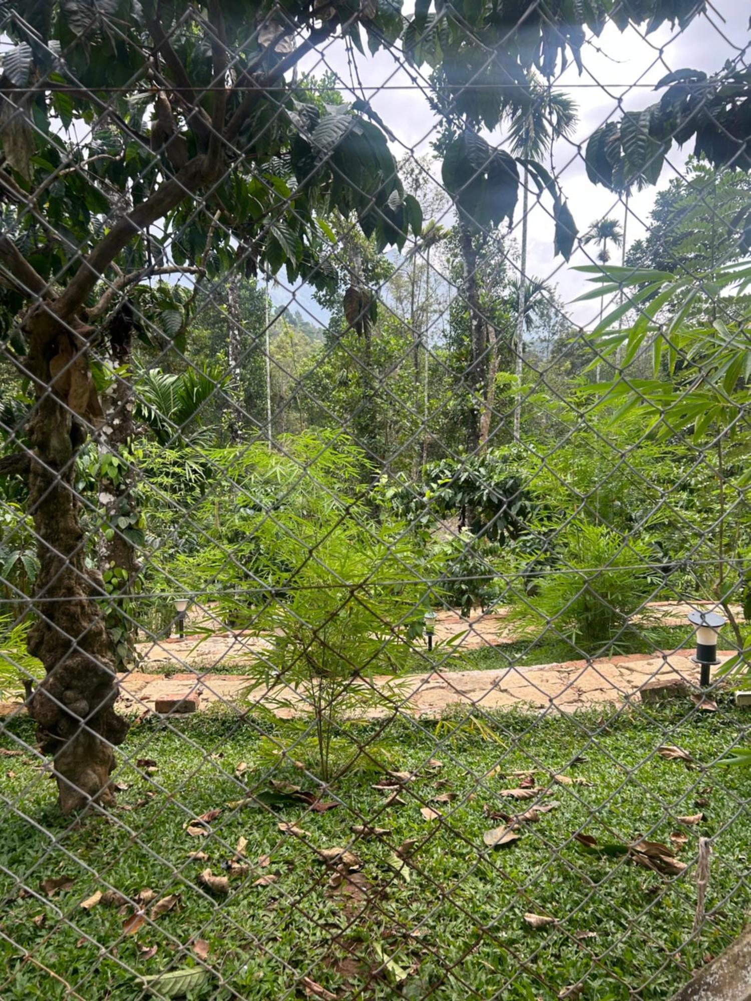 Sylvan Resort Wayanad Luaran gambar