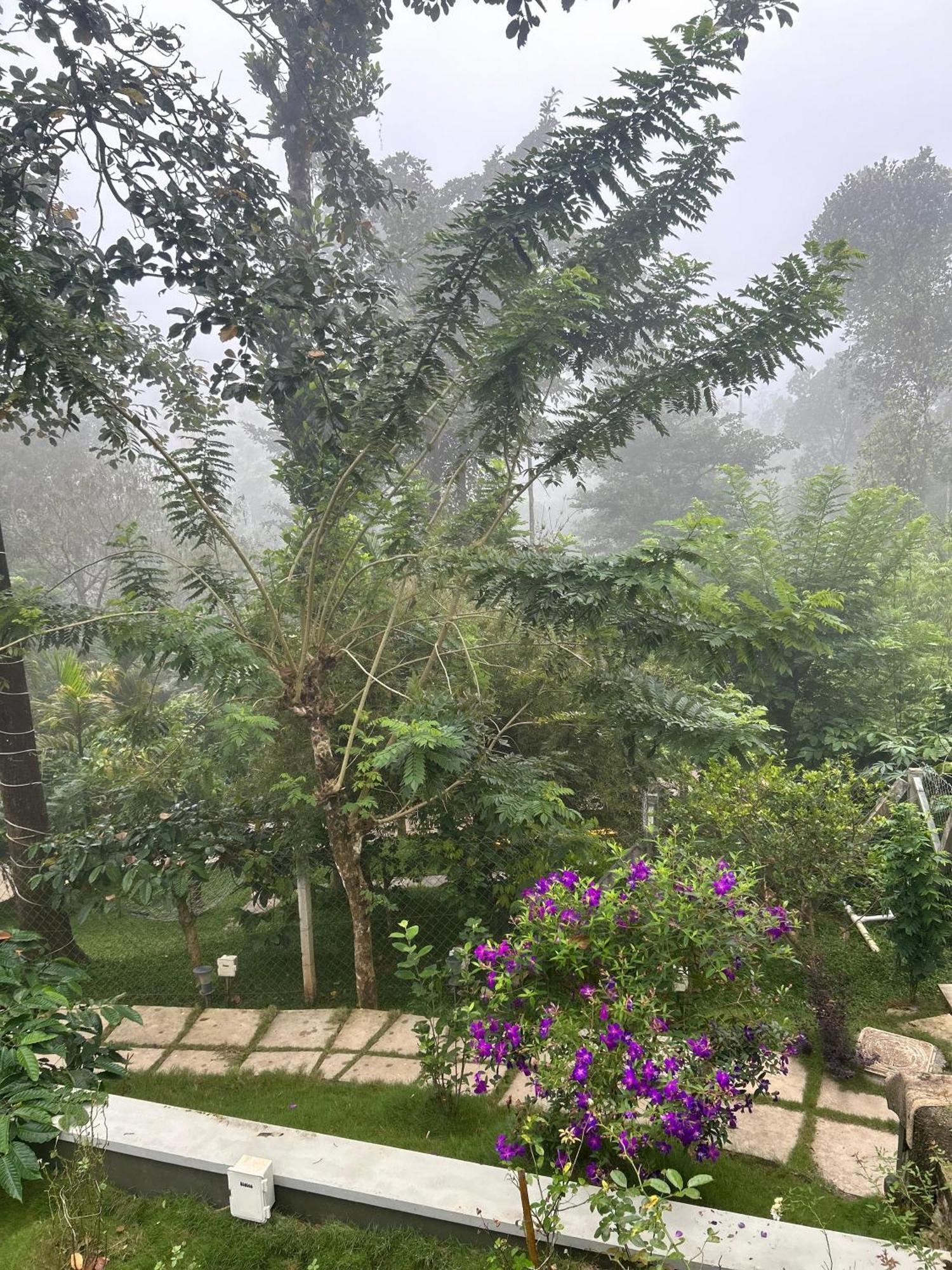 Sylvan Resort Wayanad Luaran gambar