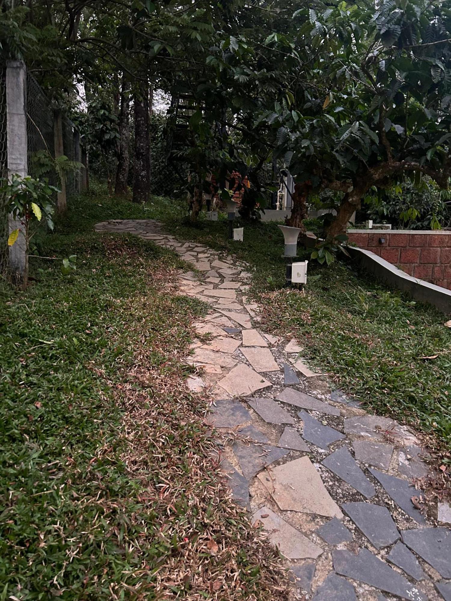 Sylvan Resort Wayanad Luaran gambar