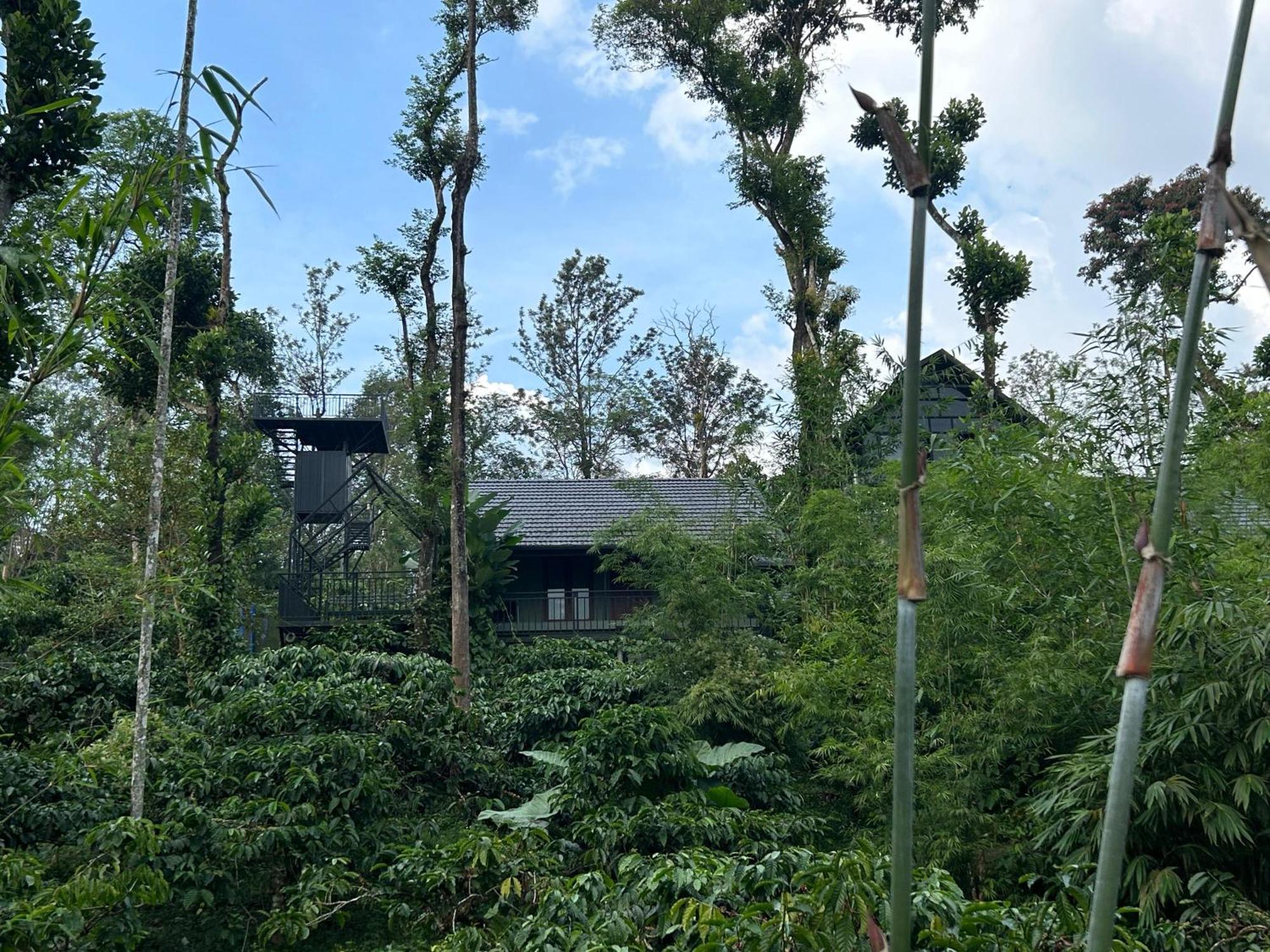 Sylvan Resort Wayanad Luaran gambar