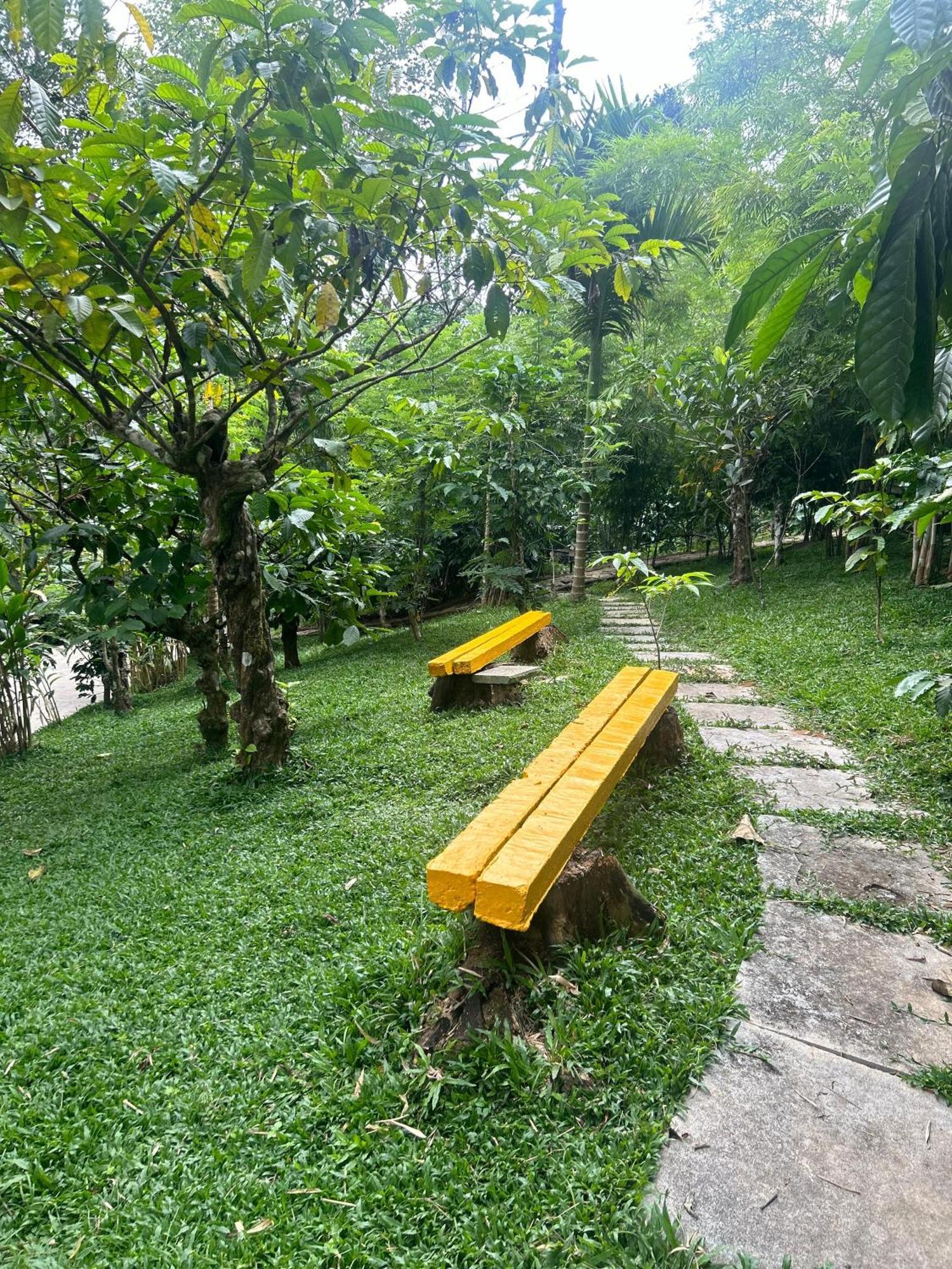Sylvan Resort Wayanad Luaran gambar