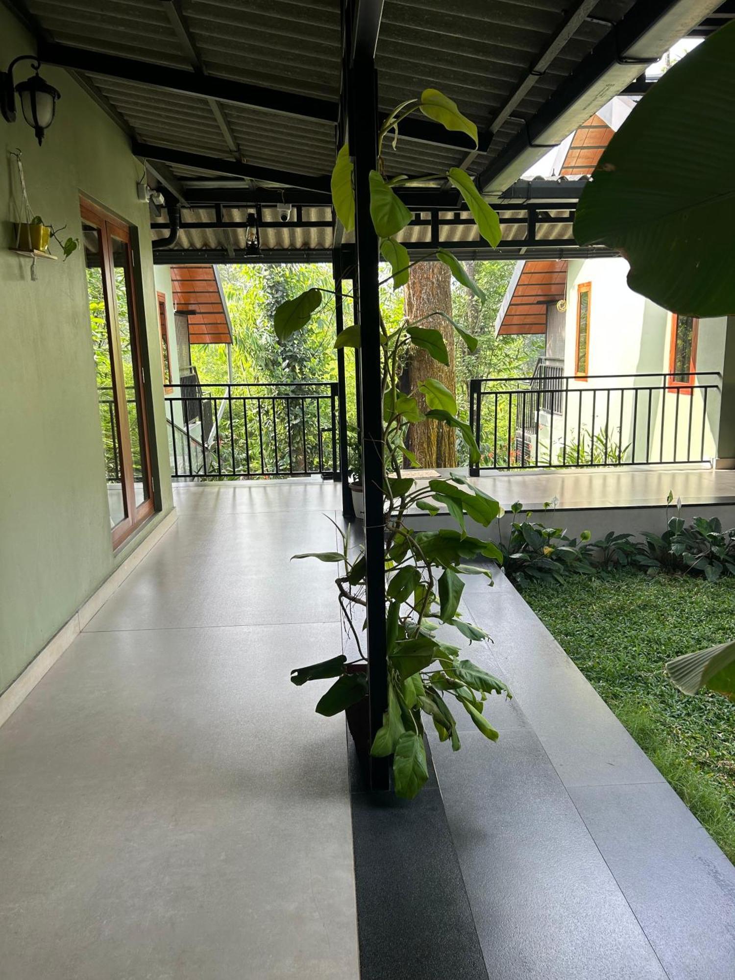 Sylvan Resort Wayanad Luaran gambar