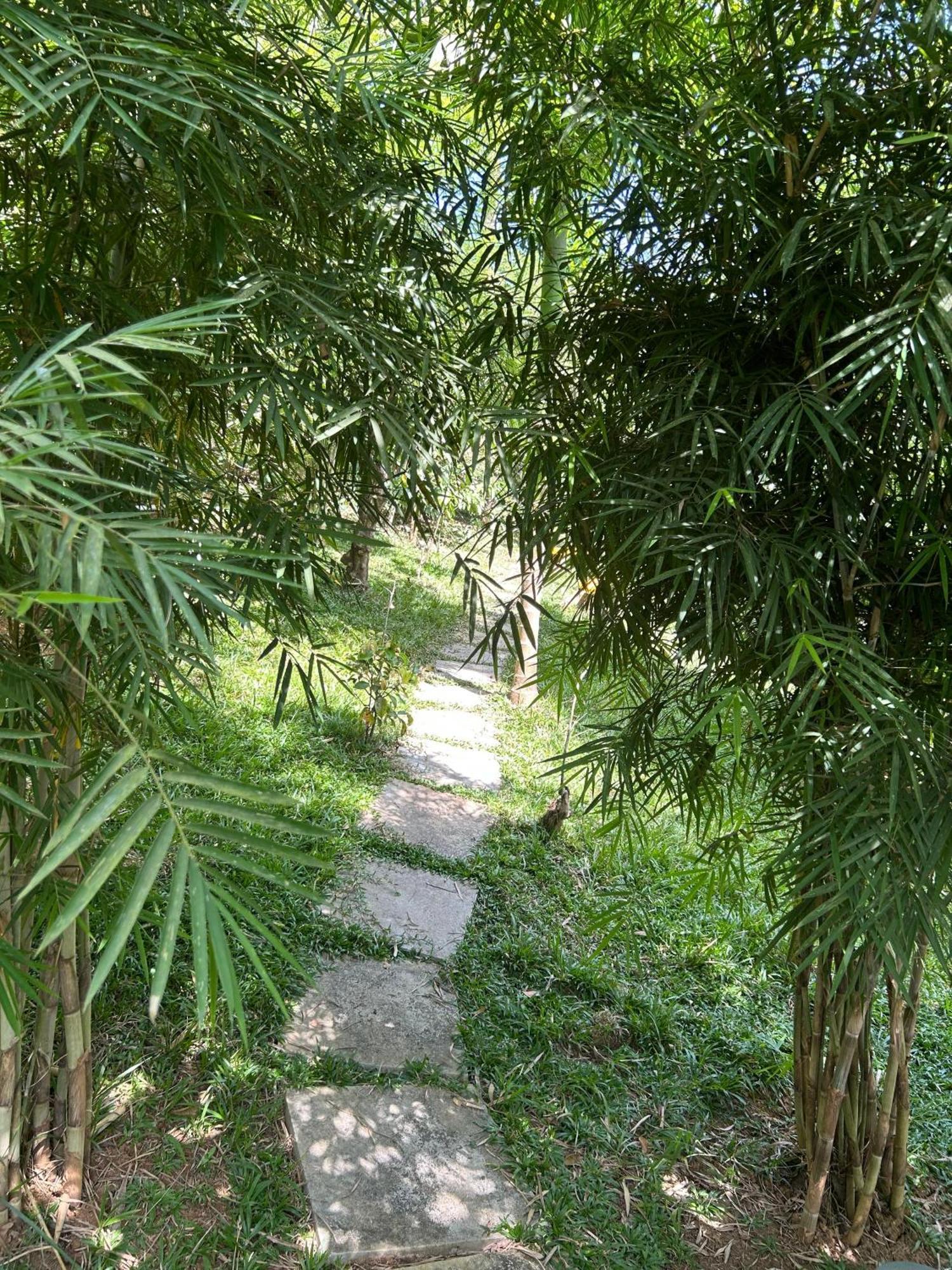 Sylvan Resort Wayanad Luaran gambar
